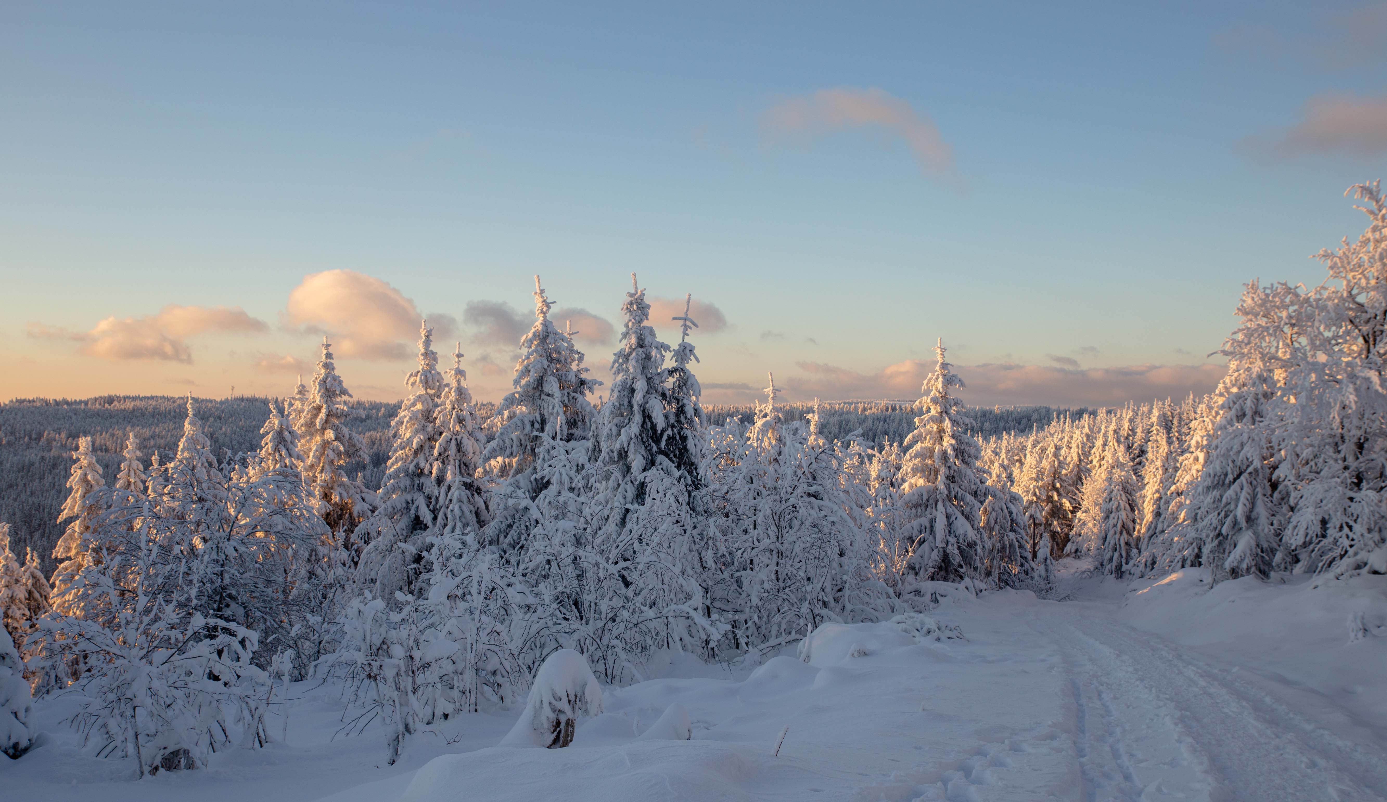 Döttelbacher Mühle – Urlaub im Schwarzwald von seiner schönsten Seite